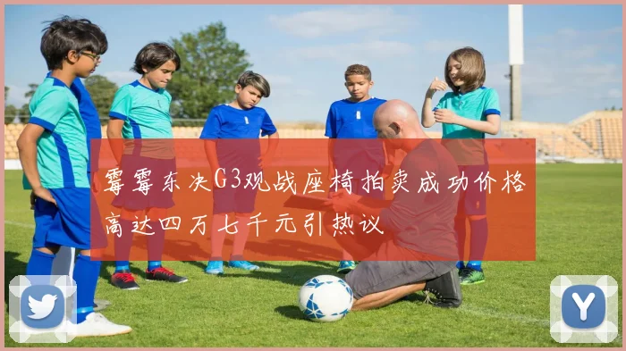 霉霉东决G3观战座椅拍卖成功价格高达四万七千元引热议