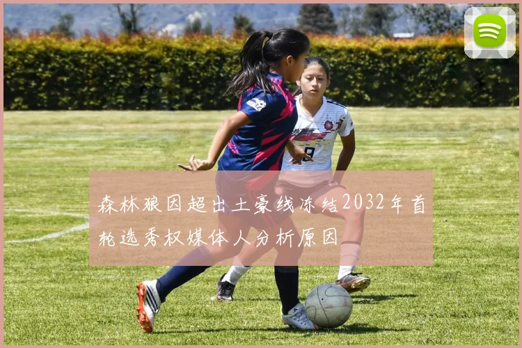 森林狼因超出土豪线冻结2032年首轮选秀权媒体人分析原因