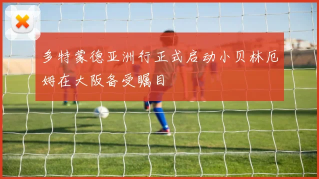 多特蒙德亚洲行正式启动小贝林厄姆在大阪备受瞩目